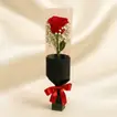 Elegant Single Red Rose in Black