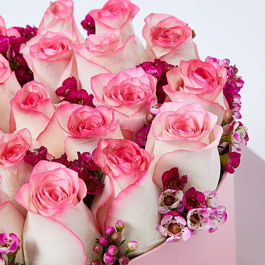 Dual Shade Roses in a box