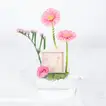 Elegant Pink Floral Gift Box with Silver Bracelet and Cubic Zirconia