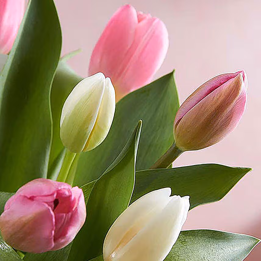 Serene 15 Mixed Tulips Arrangement Greeting Card