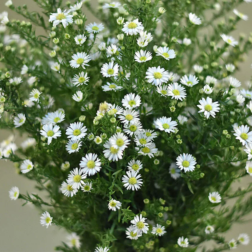 Snowflake Love Bouquet
