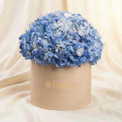 Blue Hydrangea Grand Box