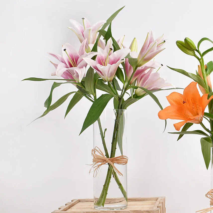 Lilies Beauty Trio