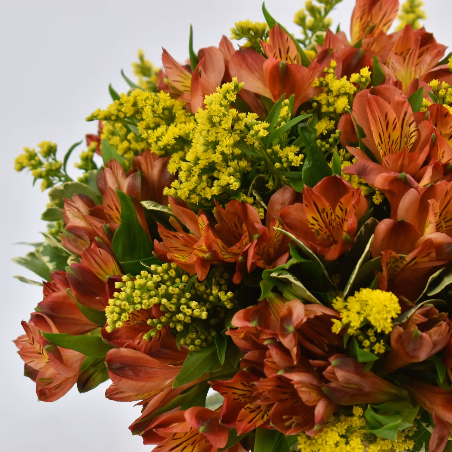 Orange Peruvian Lilies Arrangement