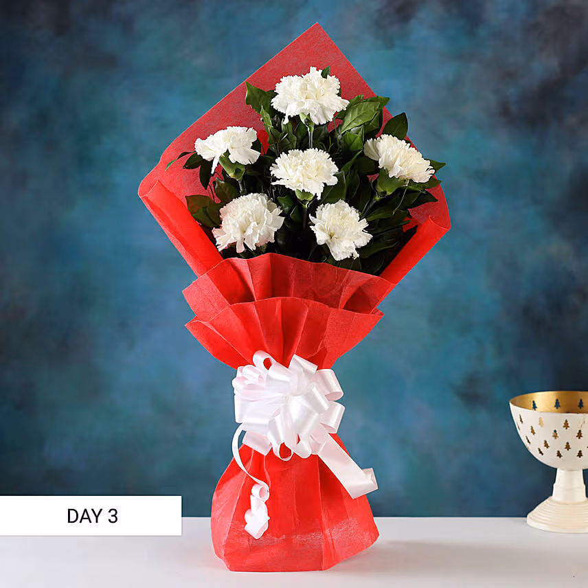 Beautiful Carnations Everyday