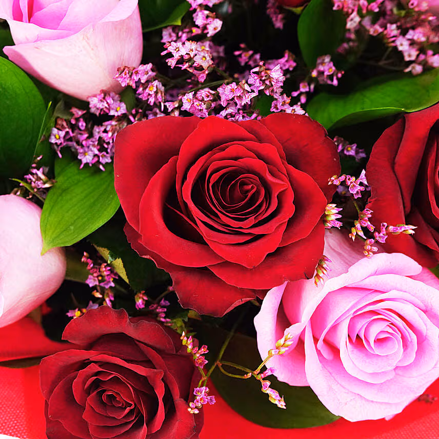 10 Pink & 10 Red Roses Bouquet