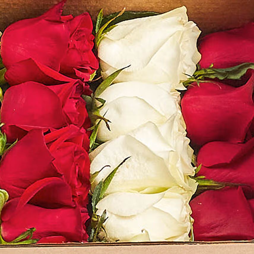 Eternal Love Mixed Roses Box
