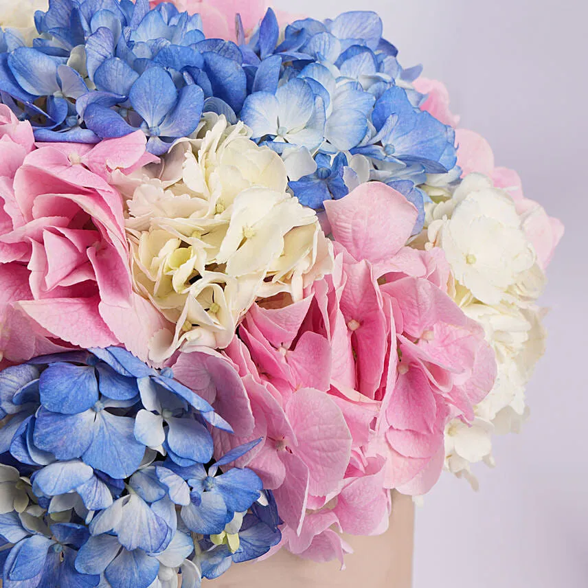 Pastel Hydrangea Mix Flower Box