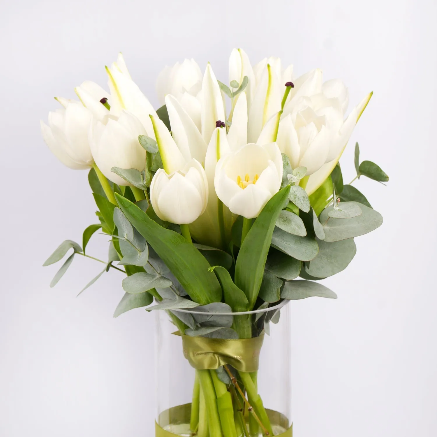 White Blooming Flowers - Fresh n Fragrant