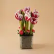 Luxe Tulips Masterpiece Vase
