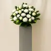 Condolence Gerbera Stand