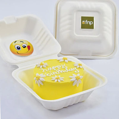 Sweet Embrace Chocolate Bento Cake - Perfect for Celebrations