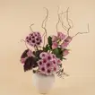 Luxury Purple Flowers in Modern Vase