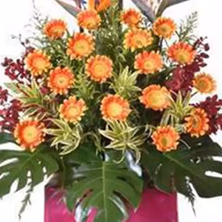 Two Tone Orange Gerberas Stand