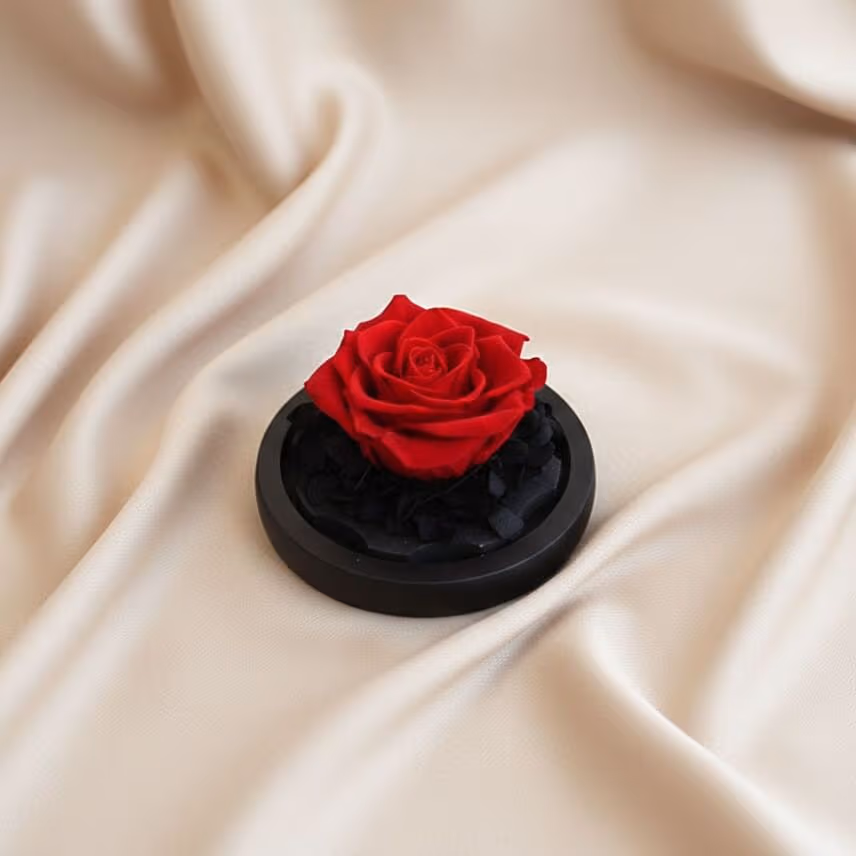 Valentine's Days Forever Red Rose in Glass Dome