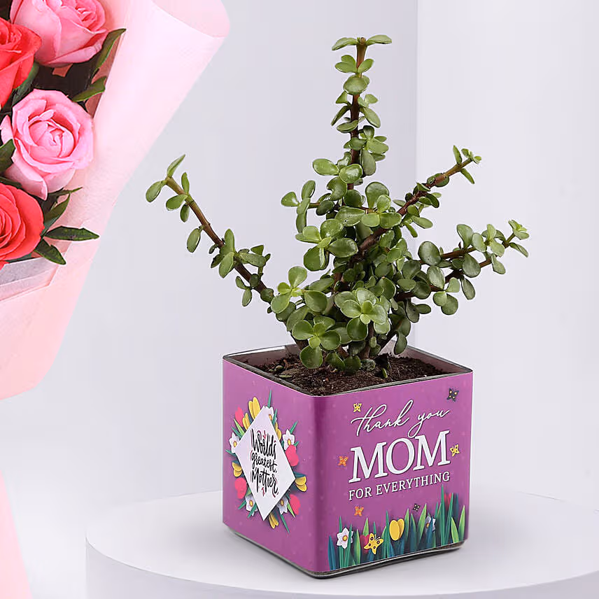 Mothers Love Roses Hand Bouquet with Jade Plant