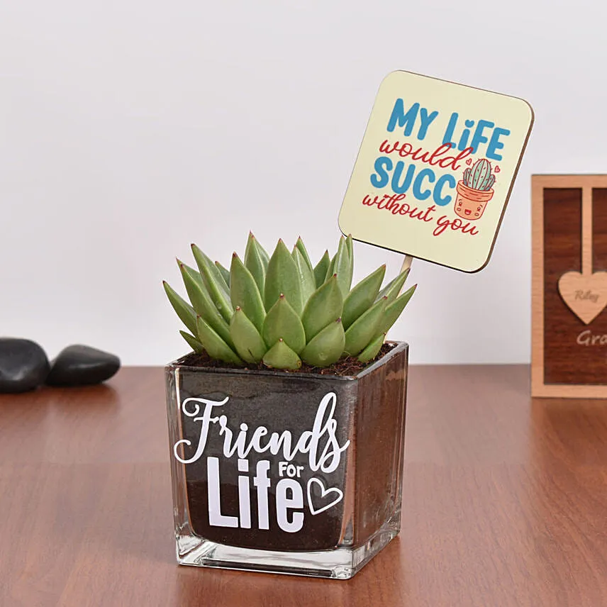 Friends For Life Plant and Coaster