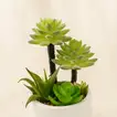  Artificial Succulent White Geometric Pot