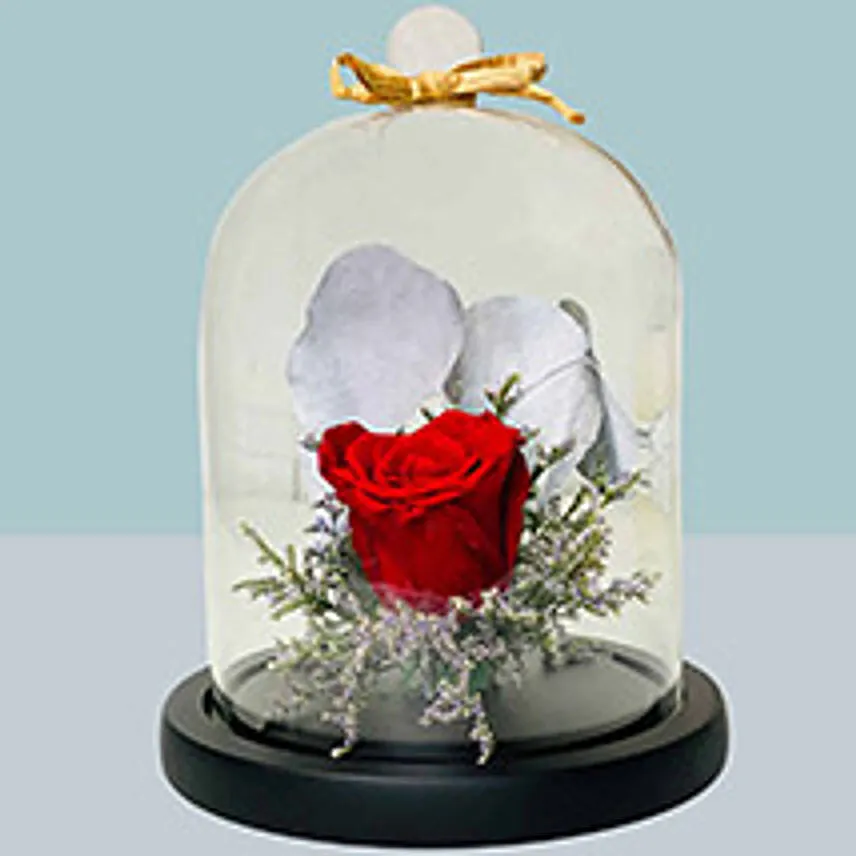 Forever Rose For Love