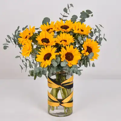 Sun Kissed Sunflowers