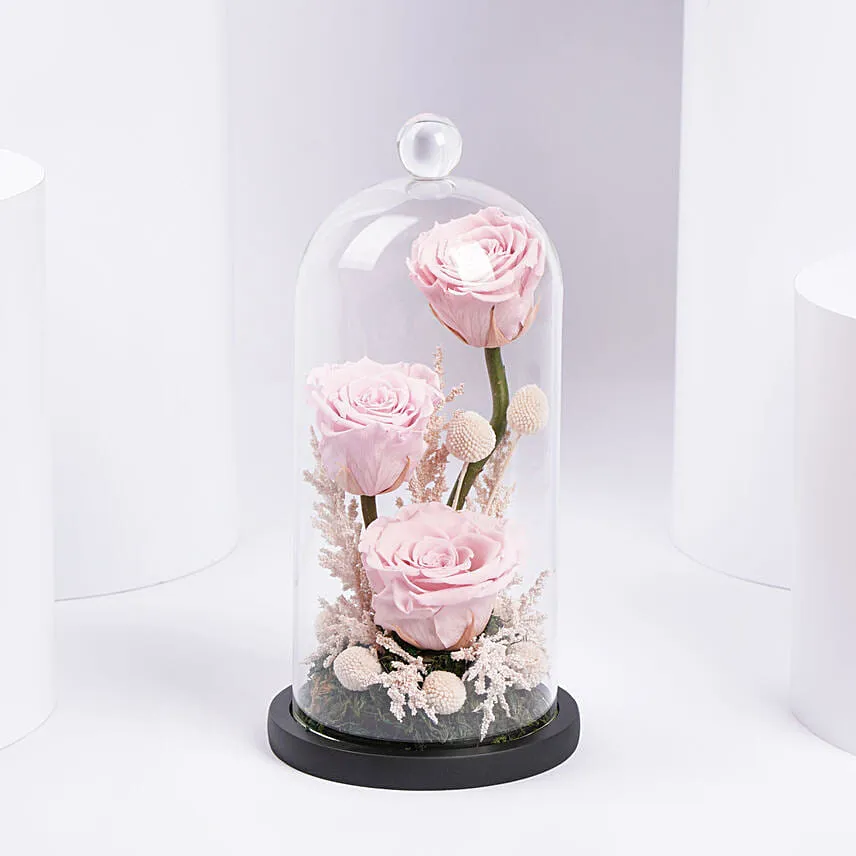 Pink Forever Roses Arrangement
