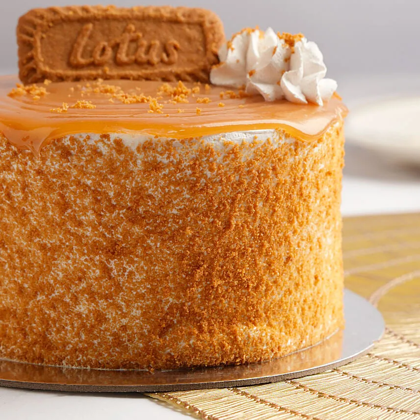 Lotus Ice Cream Cake 6 Portion