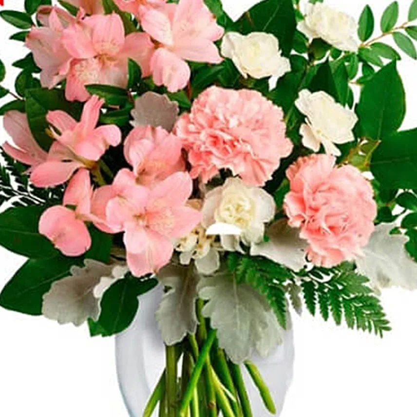 Light Pink Beauty