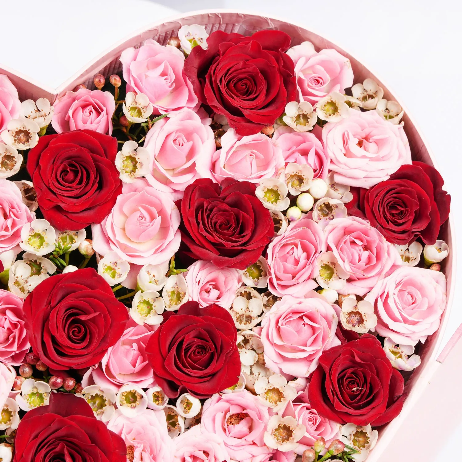 Roses Heart