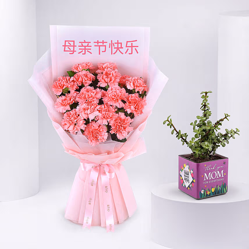 Mothers Day Carnation Flowers with Jade Plant