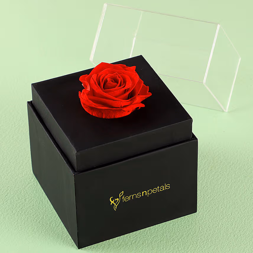 Forever Red Rose In Desingner Box for Valentines