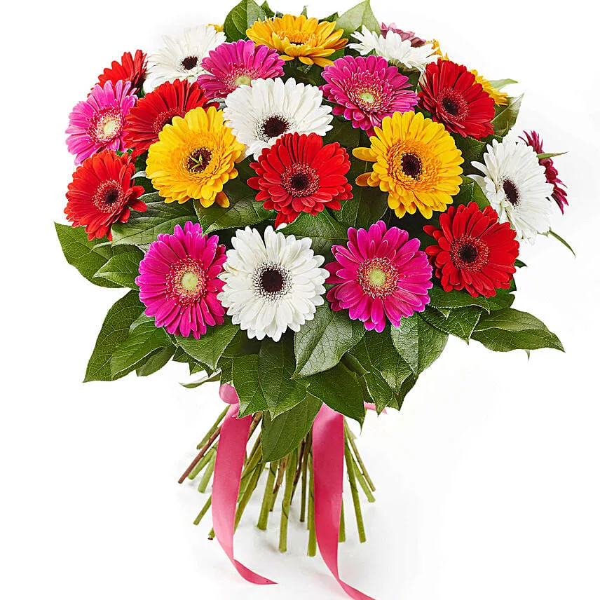 Summery Gerbera Blooming Bouquet with Mini Mousse Cake