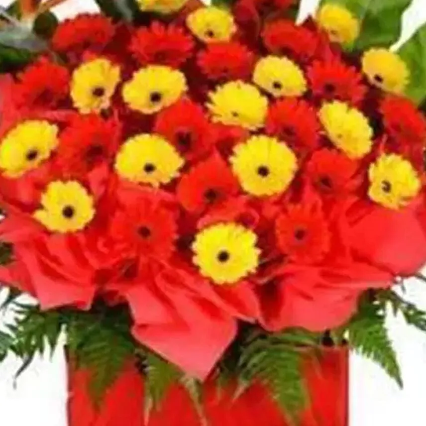 Red and Yellow Gerberas Stand