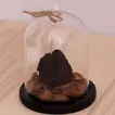 Elegant Black Forever Rose in Premium Glass Dome with Wooden Base