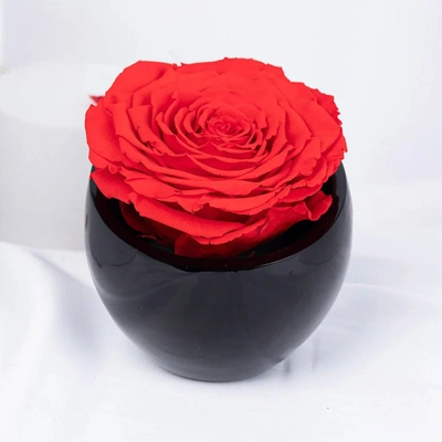 Forever Red Crystal Vase | Eternal Love Red Rose Arrangement