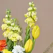 Gourmet Indulgence and Floral Delight Gift Box
