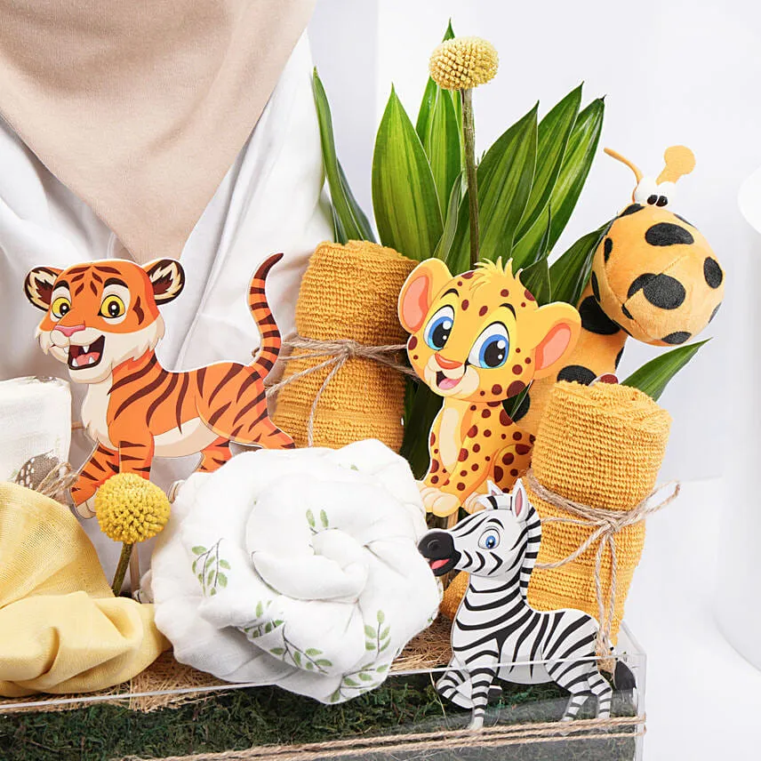Happiness Hamper New Born Baby