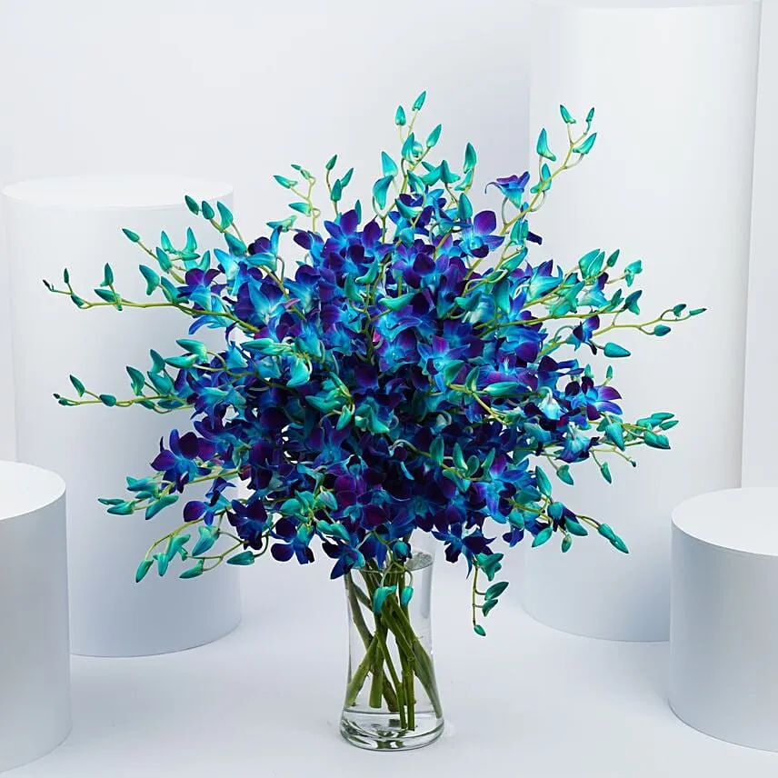 Blue and Purple Orchids Arrangement