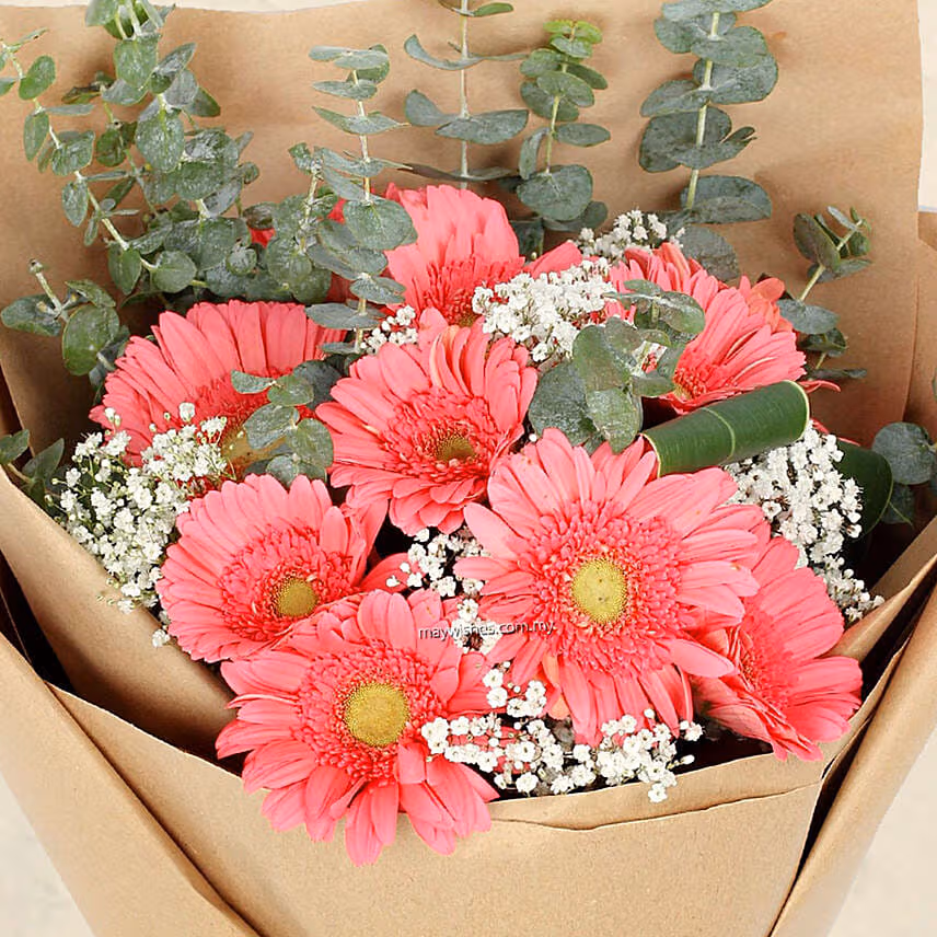 Gracious Gerberas Bouquet With Chocolate Cake