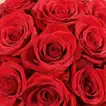 Romantic Red Roses in Heart-Printed Round Box for Valentine's Day - Arrangement