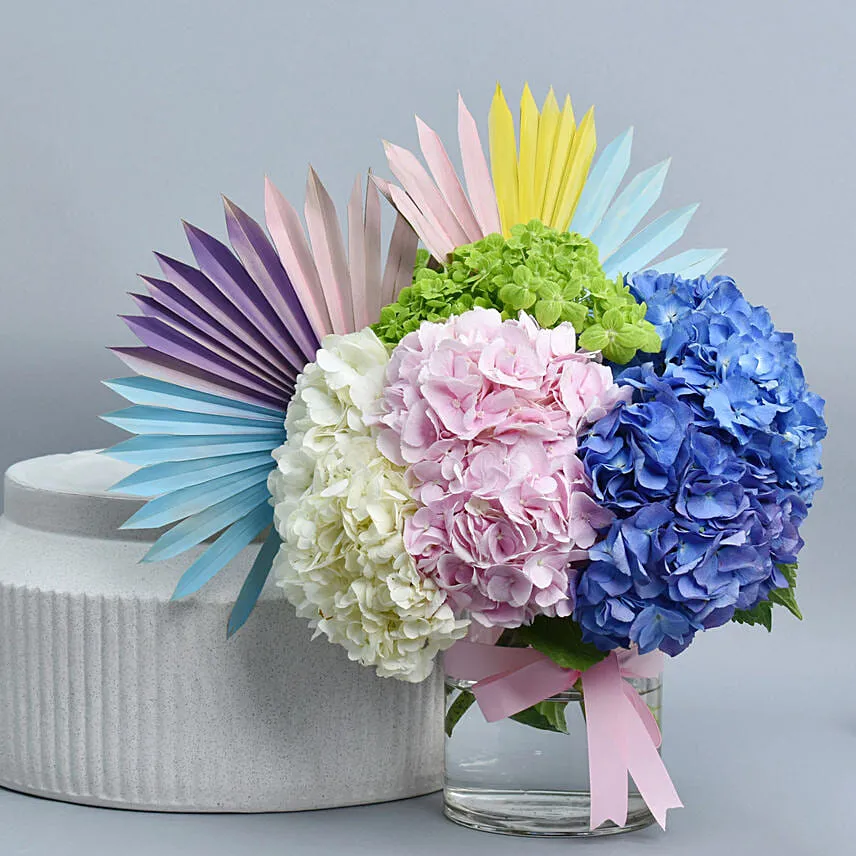 Hydrangea Beauty