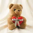 دبدوب تيدي بني