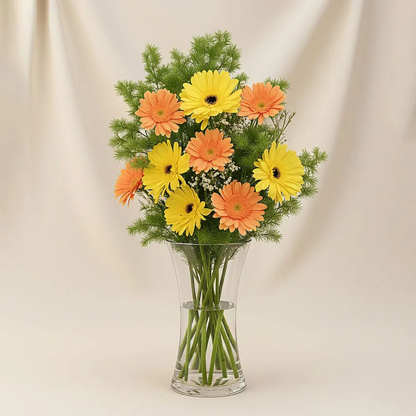 Pleasant Gerberas Flowers Vase