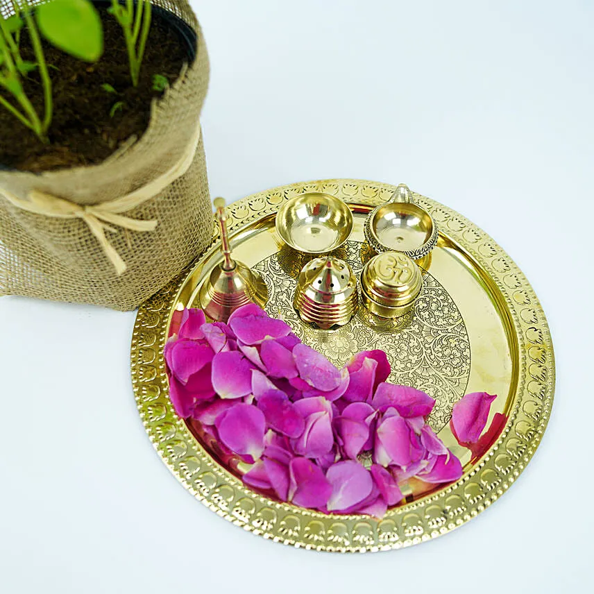 Tulsi Plant and Pooja Thali