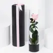 Exquisite Luxury Pink Forever Rose in Elegant Glass Vase