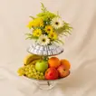 Flowers Chocolates n Fruits Trio
