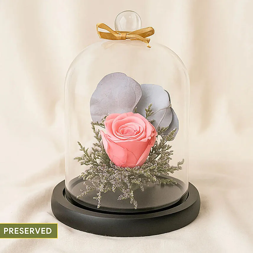 Forever Rose In Glass Dome- Pink
