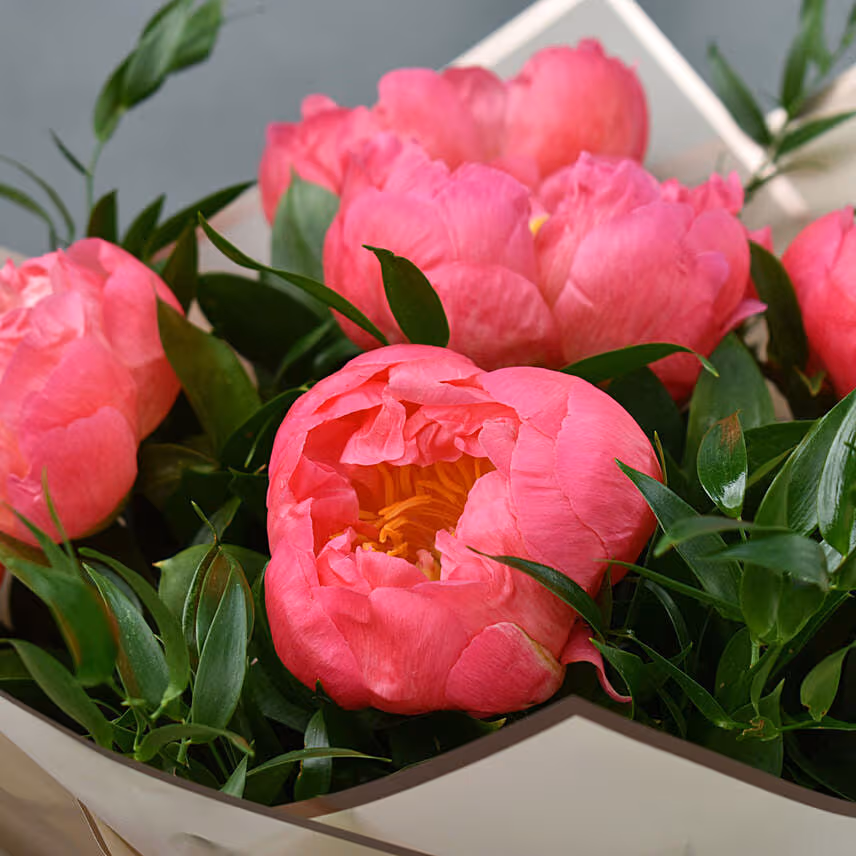Delightful Coral Peonies Bunch