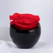 Forever Red Crystal Vase | Eternal Love Red Rose Arrangement