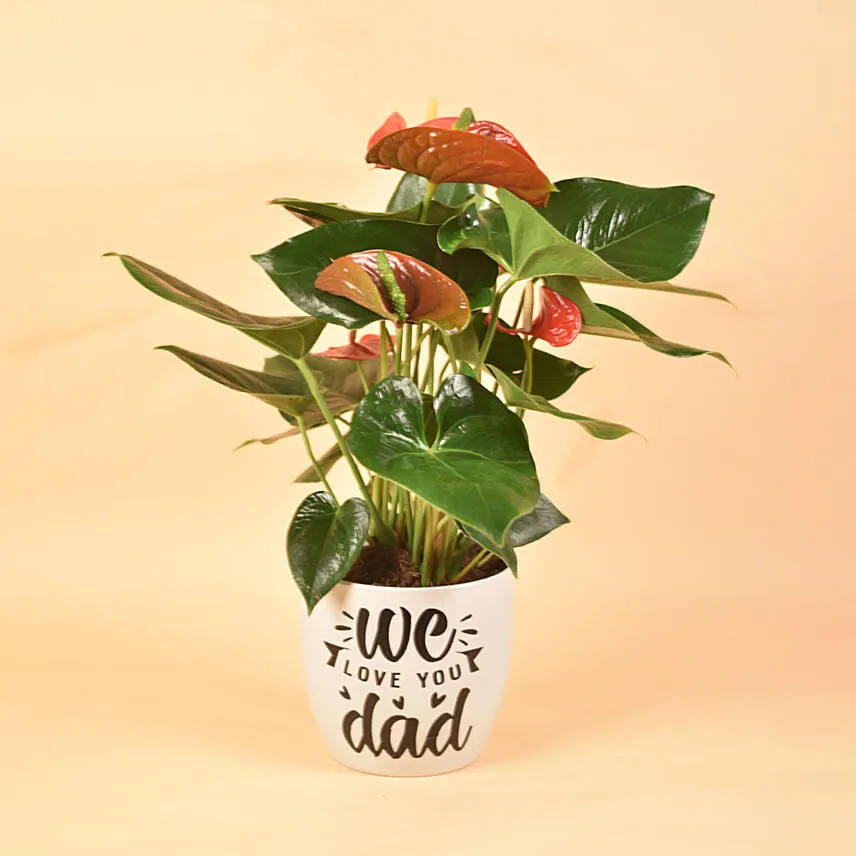 We Love You Dad Potted Anthurium Plant