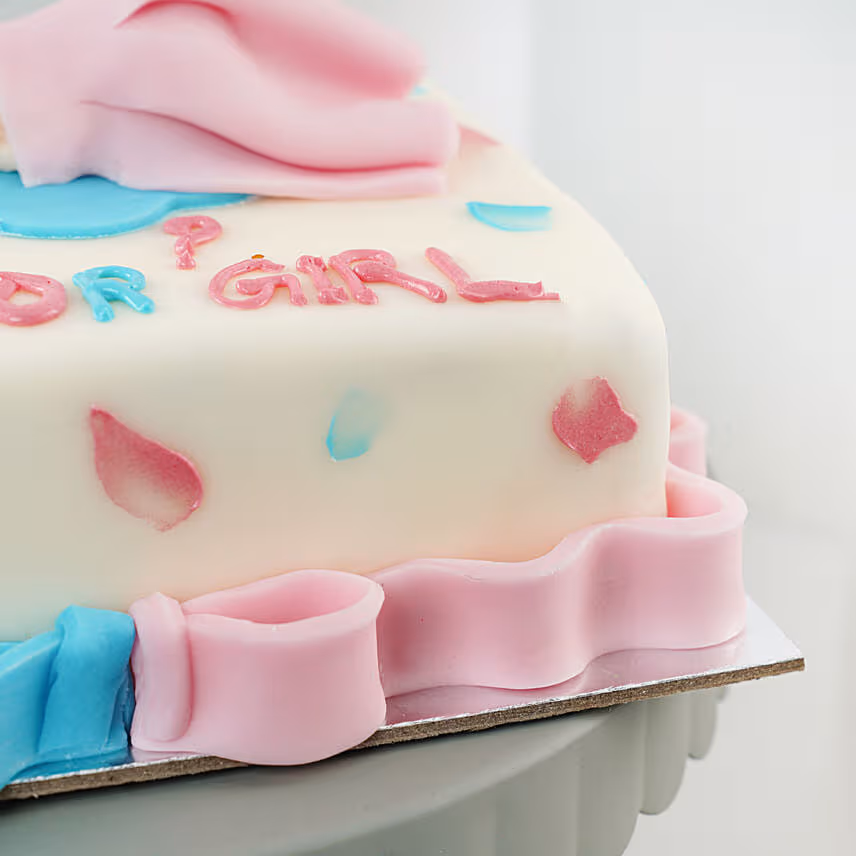 Gender Reveal Celebration Cake